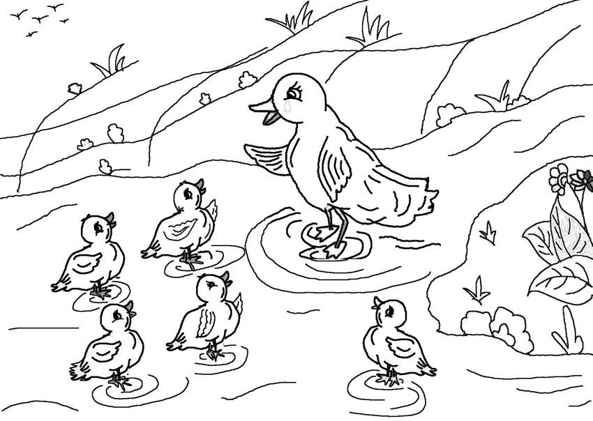 ugly duckling colouring clipart 759722