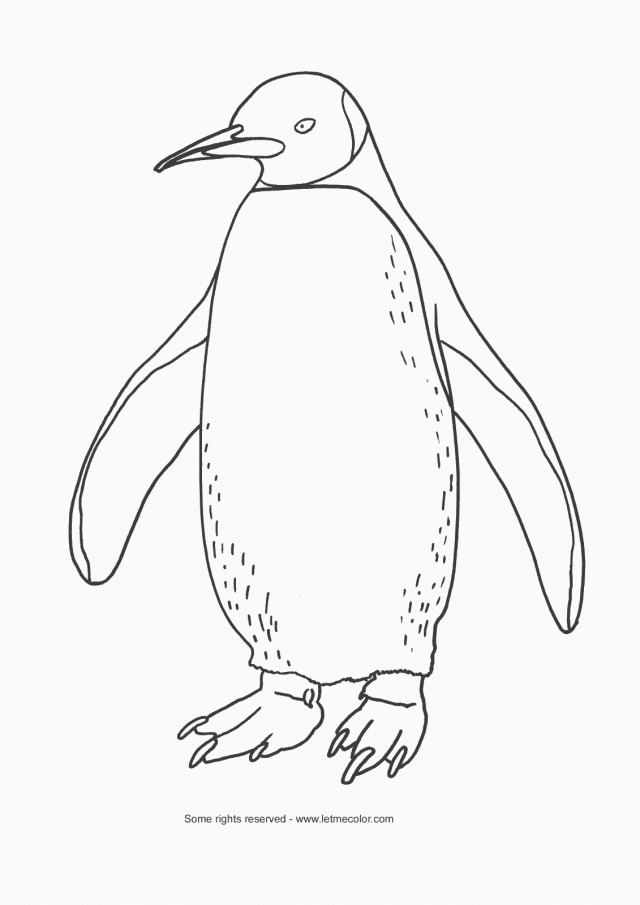 Adorable Penguin Coloring Pages Coloring Page Penguin