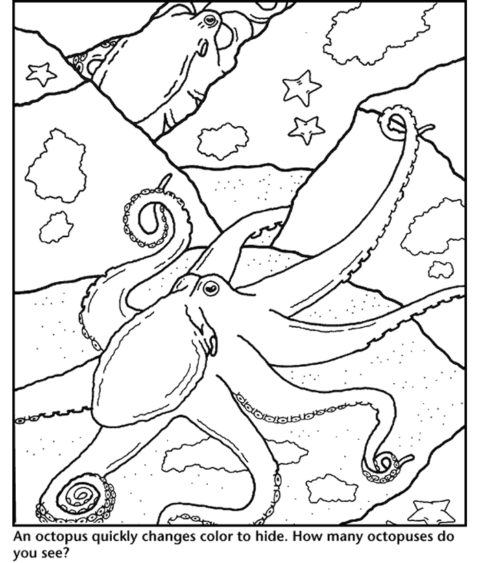 octopus coloring page 525362
