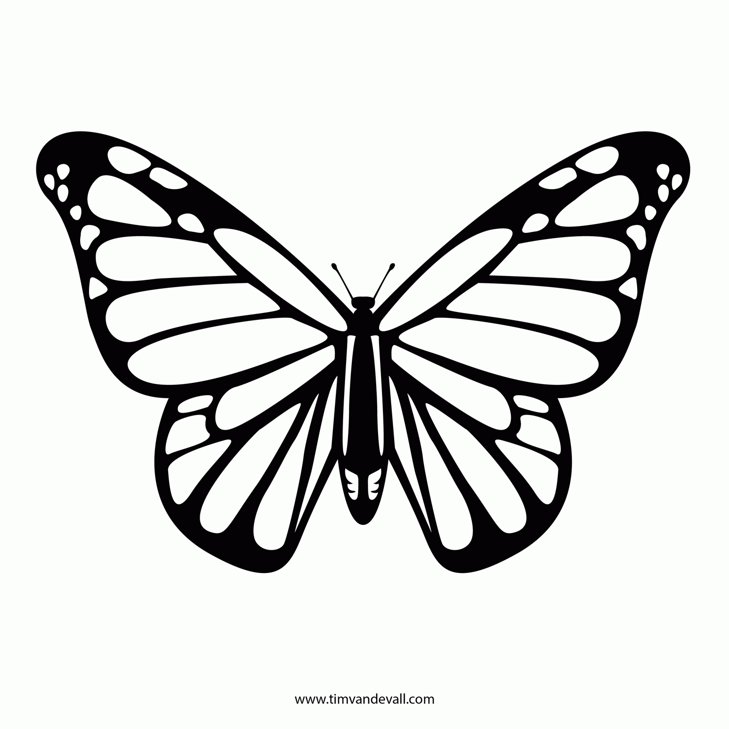 monarch butterfly clipart black and white Clip Art Library