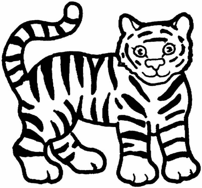 Unleashing Your Inner Artist with Free Tiger Coloring Pages A Gallery