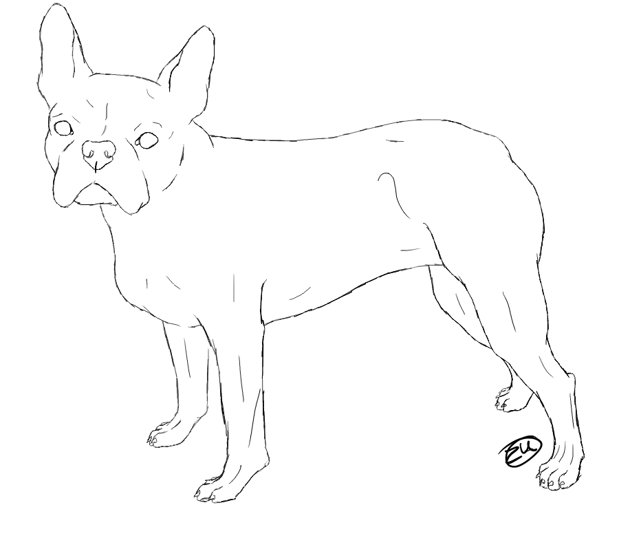 Free Boston Terrier Coloring Pages Printable, Download