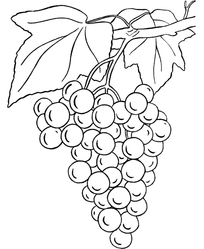 Free Grapes Coloring Page, Download Free Grapes Coloring