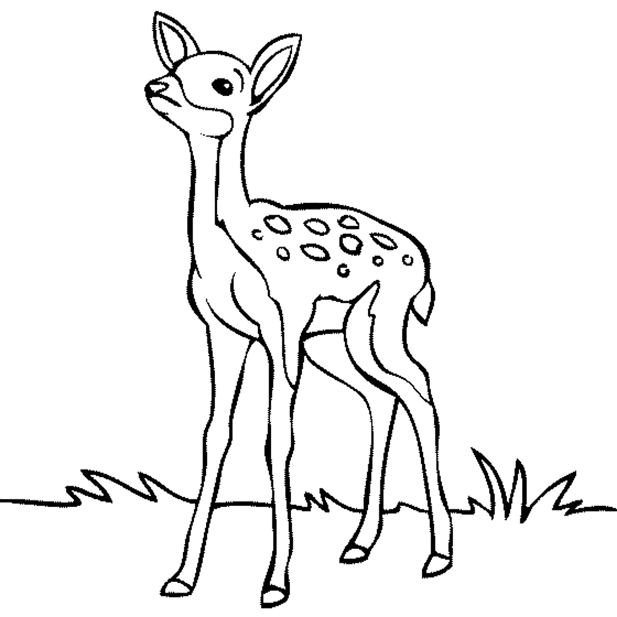 Free Baby Deer Coloring Page, Download Free Baby Deer Coloring Page png