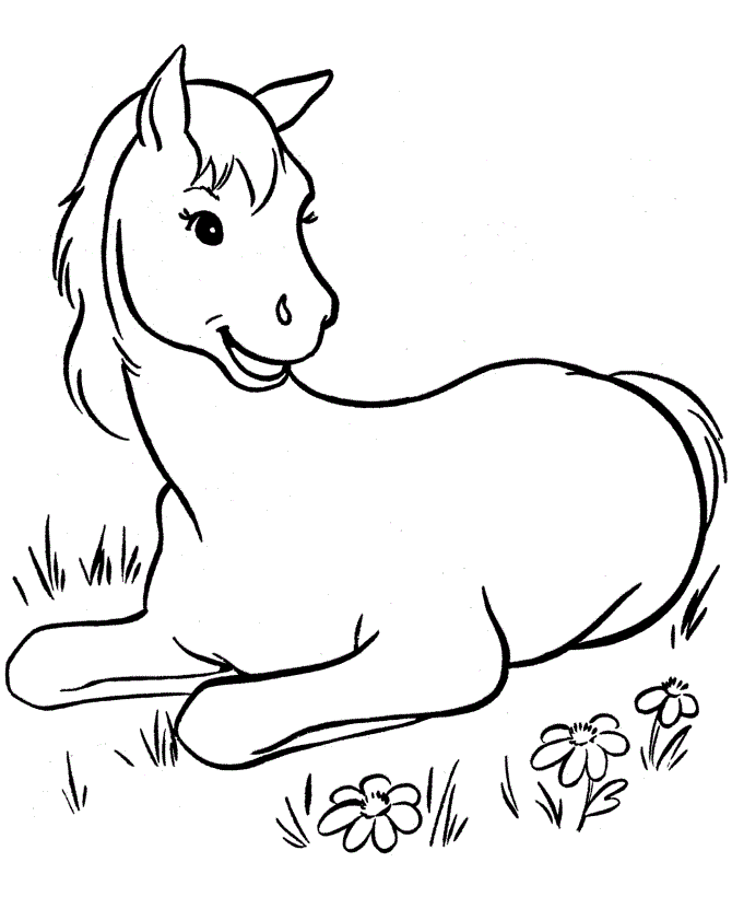 printable horse colouring sheets Clip Art Library