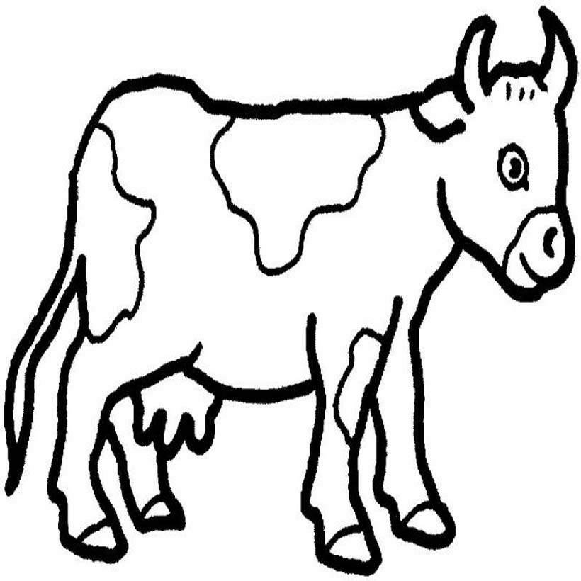 Domestic Animals Drawing ansiedadedefine
