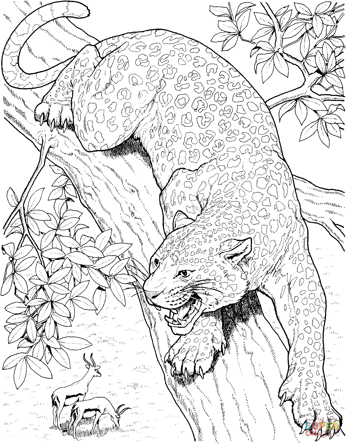 Pin on Animals and Pets Coloring Pages Pinterest