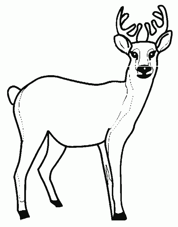 Free Deer Pictures To Print, Download Free Deer Pictures To Print png