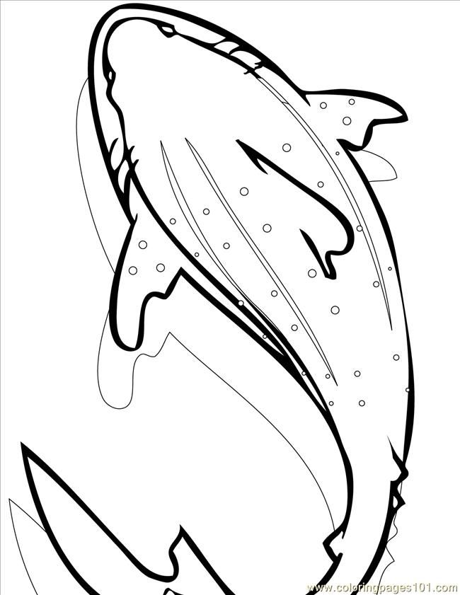Free Whale Shark Coloring Pages, Download Free Whale Shark Coloring