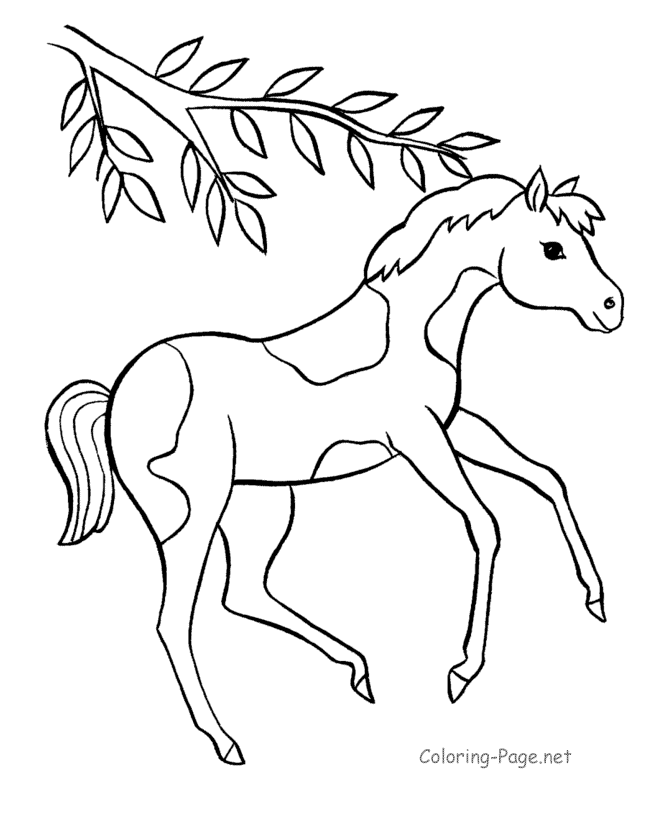 Free Horse And Pony Coloring Pages, Download Free Horse And Pony