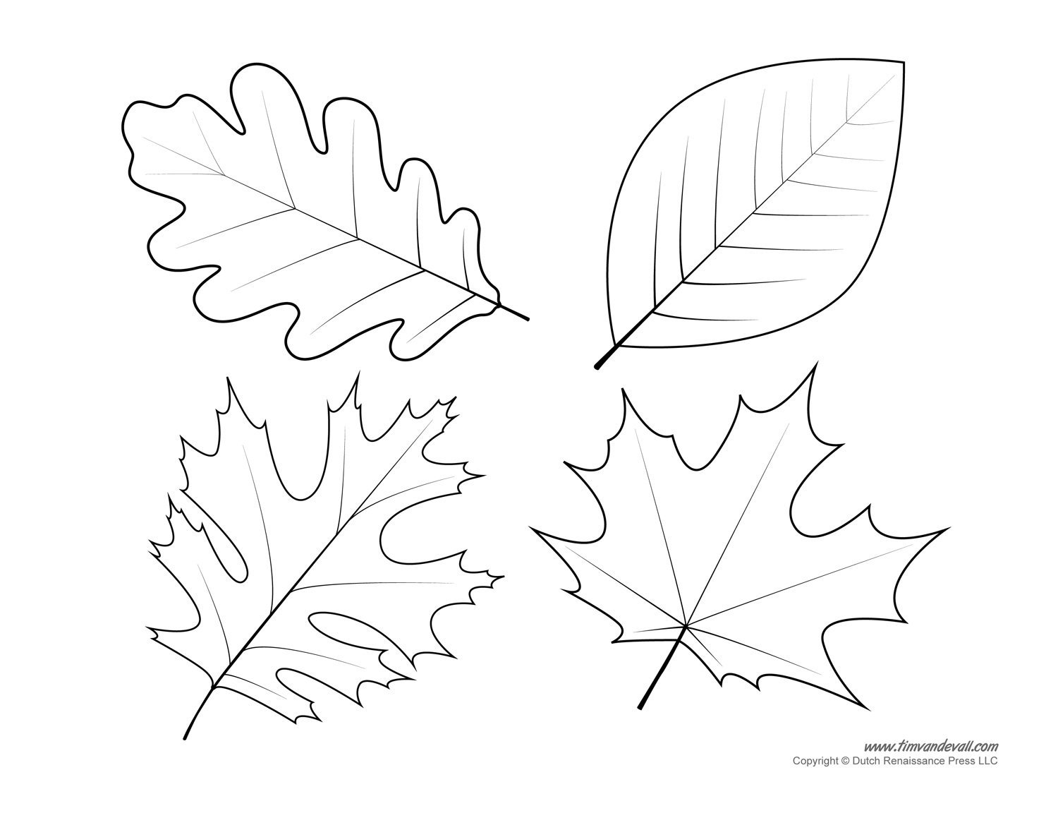 Leaf Shapes To Cut Out Leaf Shapes To Cut Out