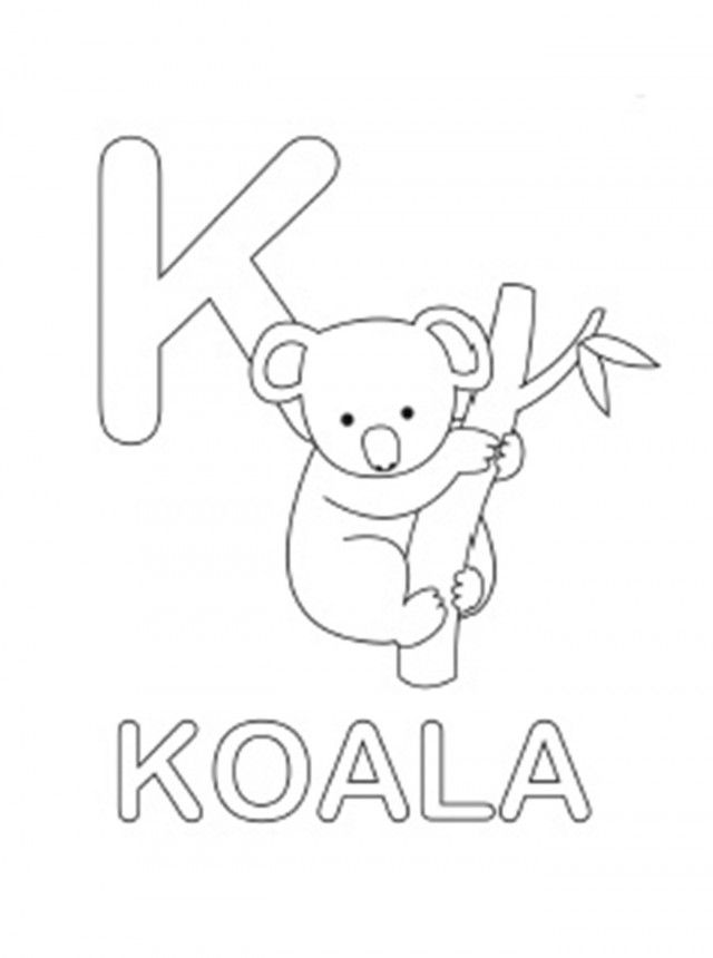 koala coloring pages preschool 634220