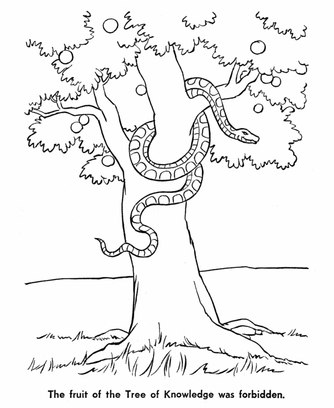 sunday school fall of man coloring page Clip Art Library