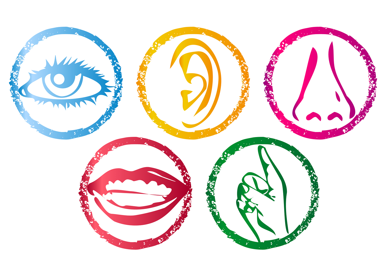 Free 5 Senses Png, Download Free 5 Senses Png png images, Free ClipArts