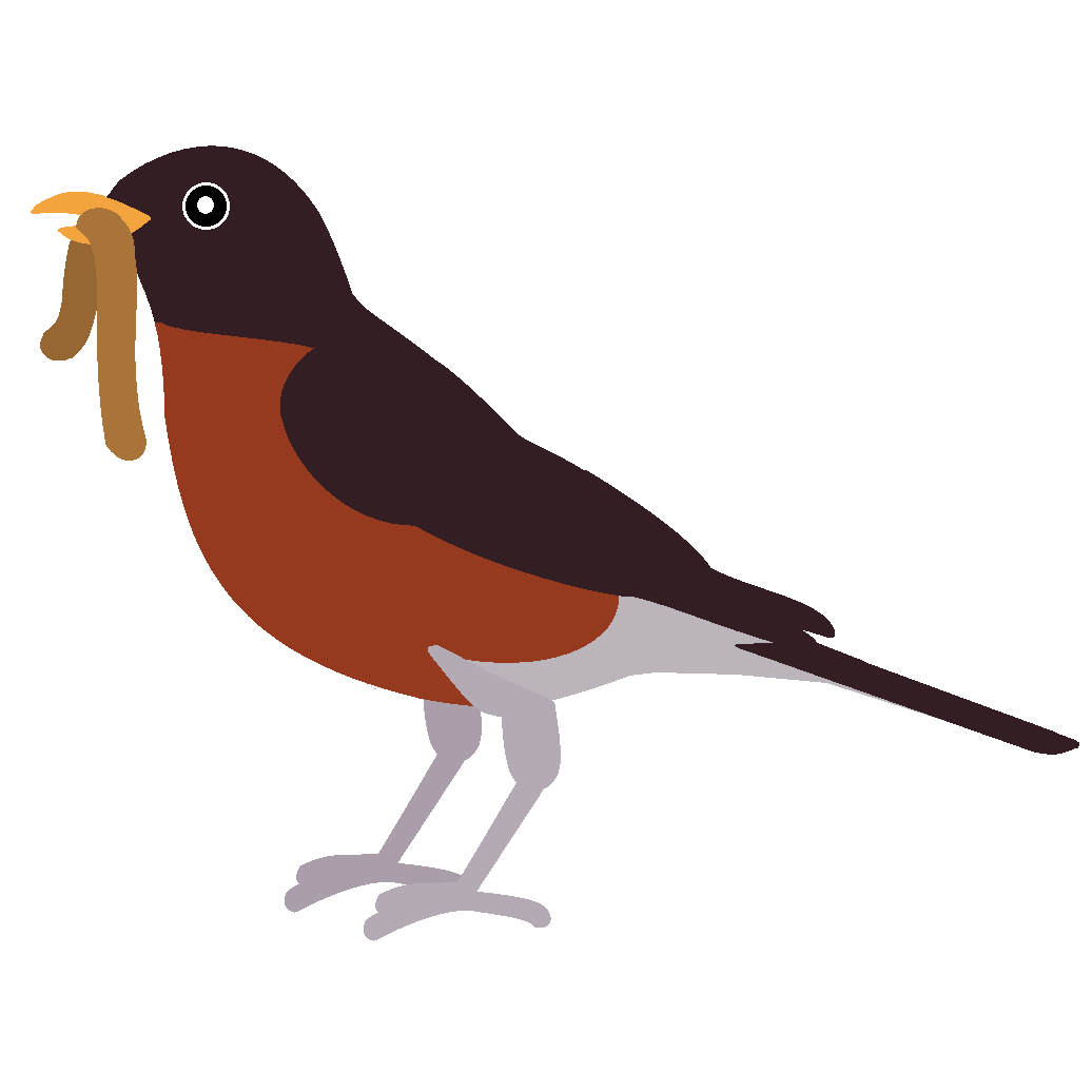 Free Robin Cliparts, Download Free Robin Cliparts png images, Free