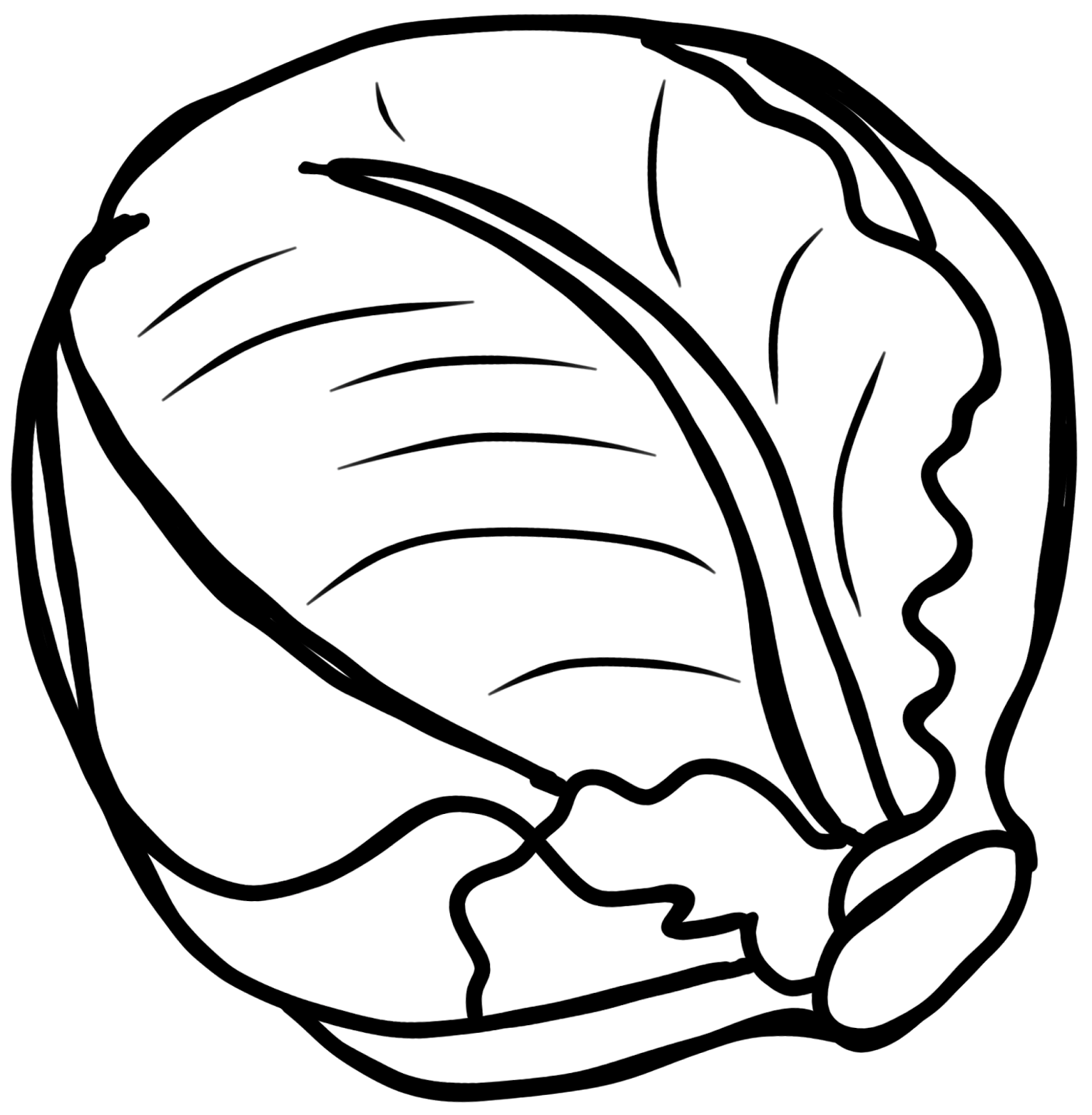 Free Cabbage Cliparts, Download Free Cabbage Cliparts png images, Free