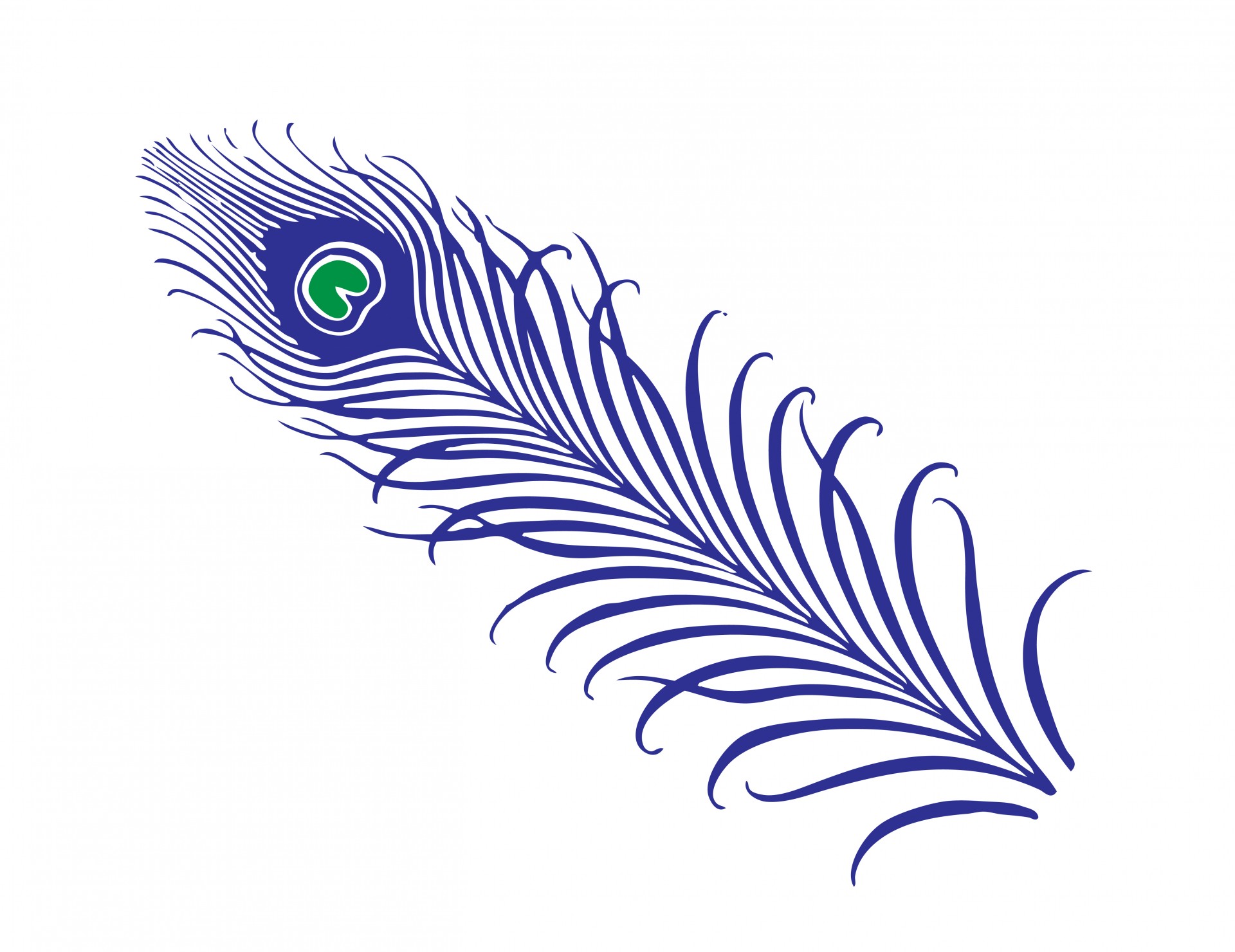 Free Feather Cliparts, Download Free Feather Cliparts png images, Free
