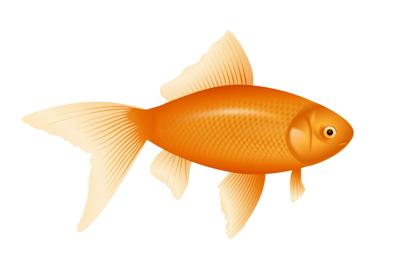 Free Goldfish Cliparts, Download Free Goldfish Cliparts png images