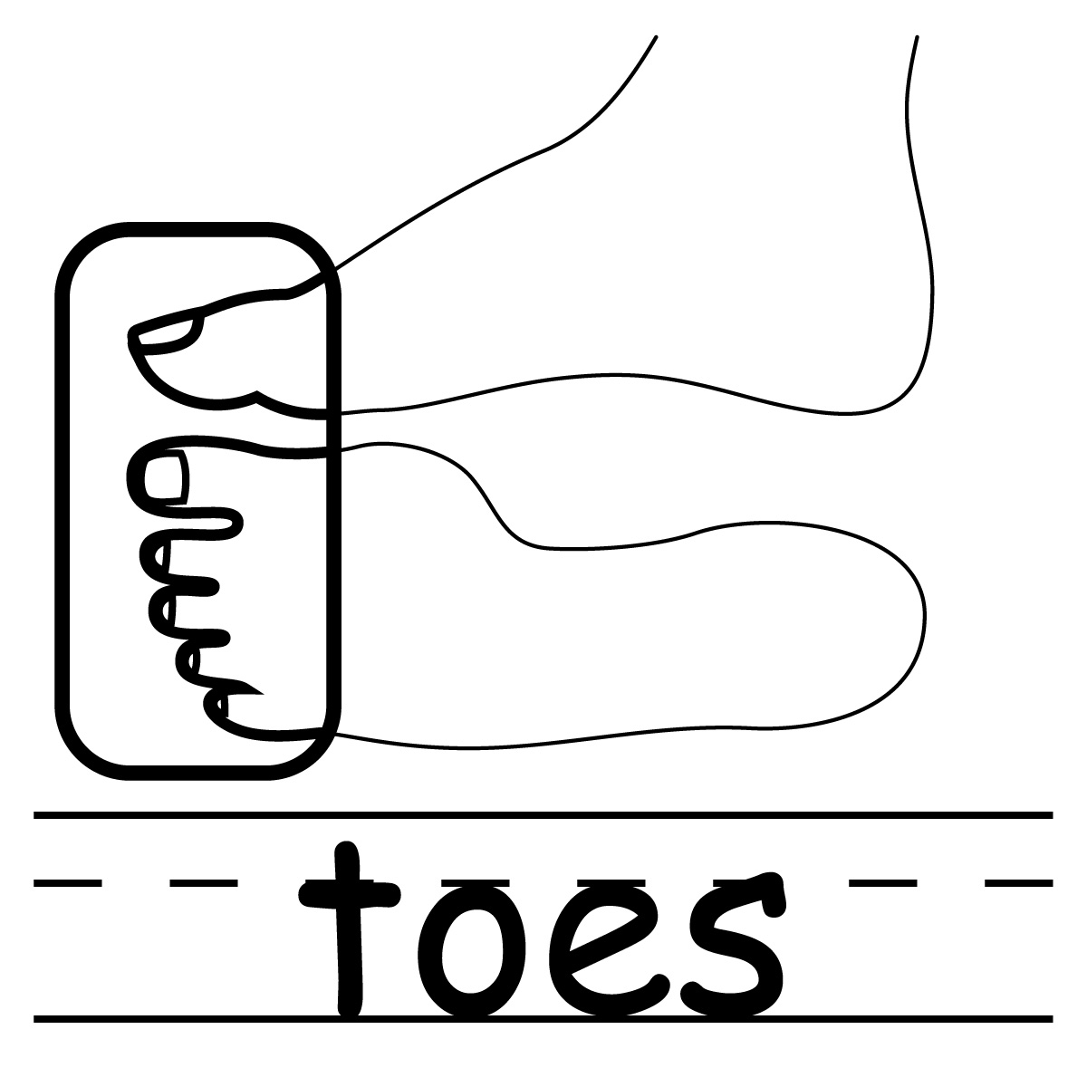 Free Toes Cliparts, Download Free Toes Cliparts png images, Free