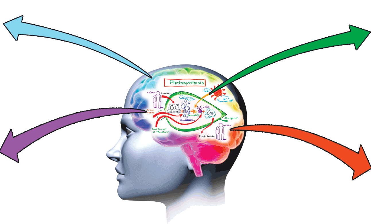 Free Memory Cliparts, Download Free Memory Cliparts png images, Free