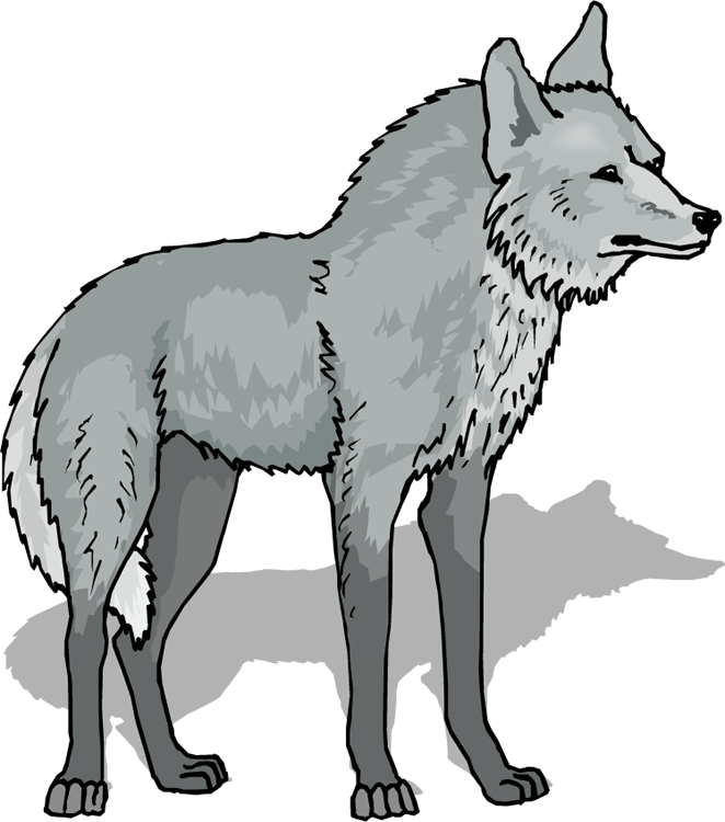 Free Wolf Cliparts, Download Free Wolf Cliparts png images, Free