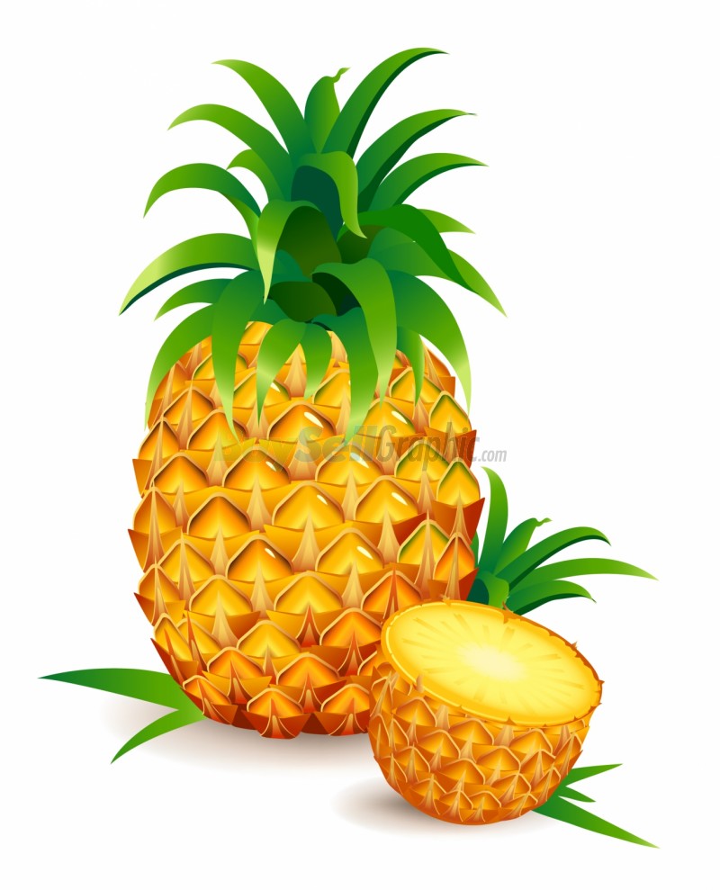 Free Pineapple Cliparts, Download Free Pineapple Cliparts png images