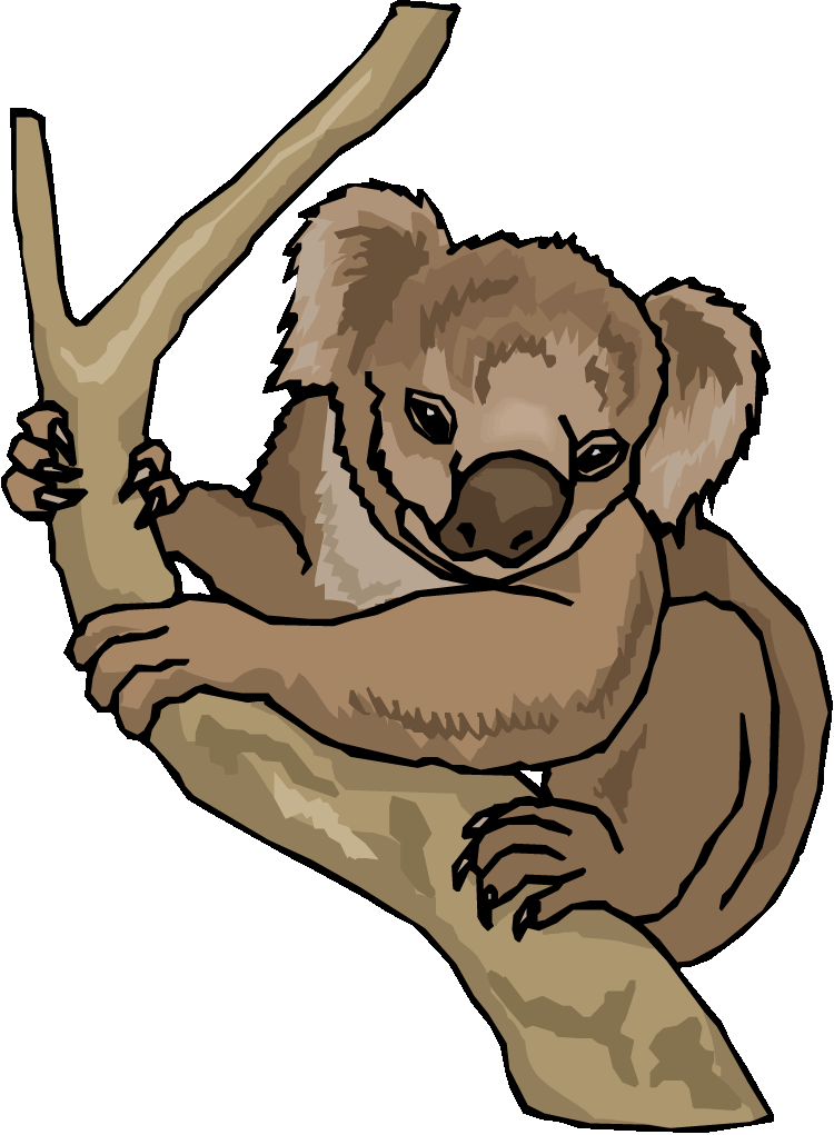 Free Koala Cliparts, Download Free Koala Cliparts png images, Free