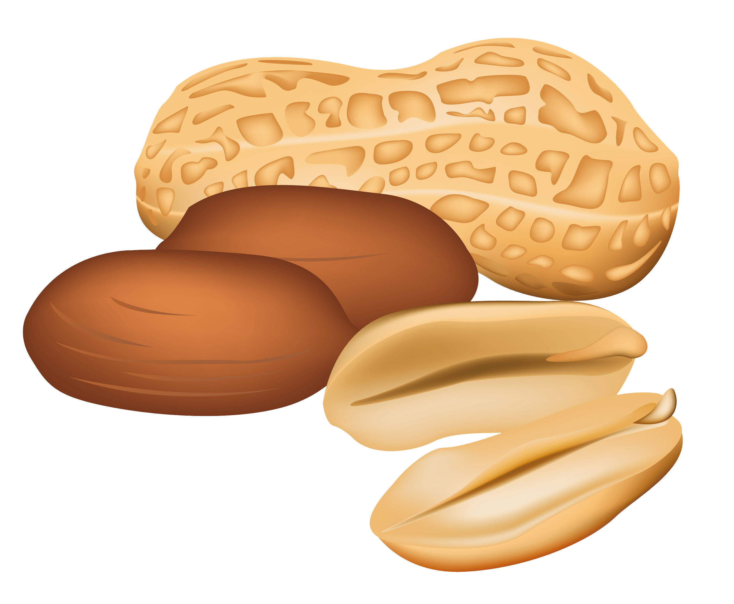 Free Peanuts Cliparts, Download Free Peanuts Cliparts png images, Free ClipArts on Clipart Library