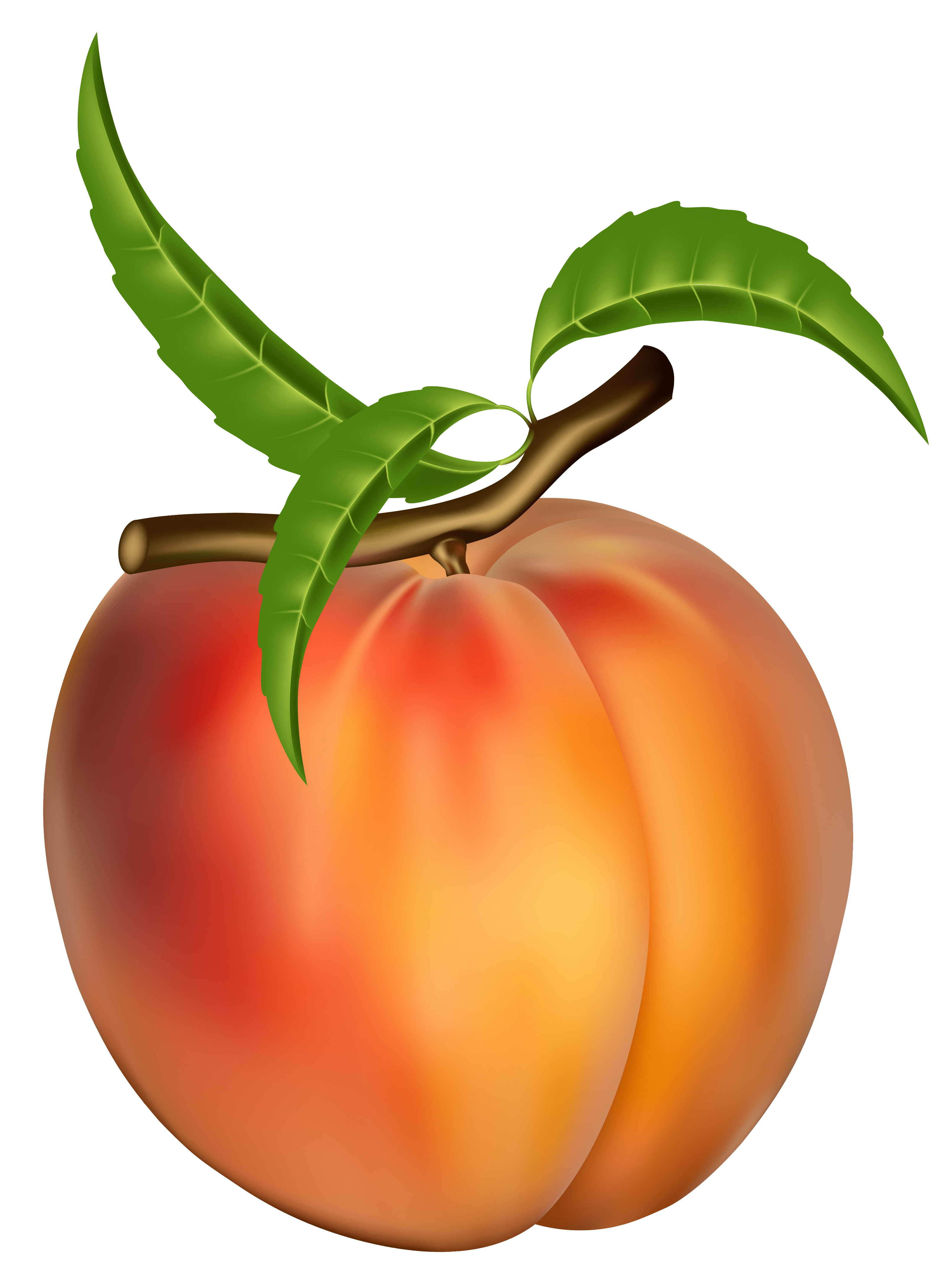 Free Peach Cliparts, Download Free Peach Cliparts png images, Free