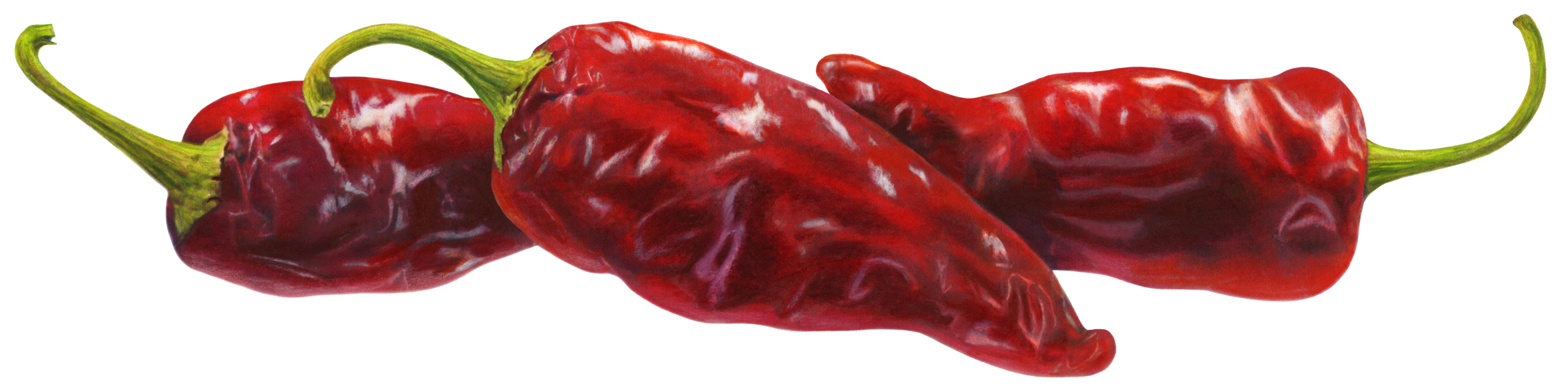 Free Chipotle Cliparts, Download Free Chipotle Cliparts png images