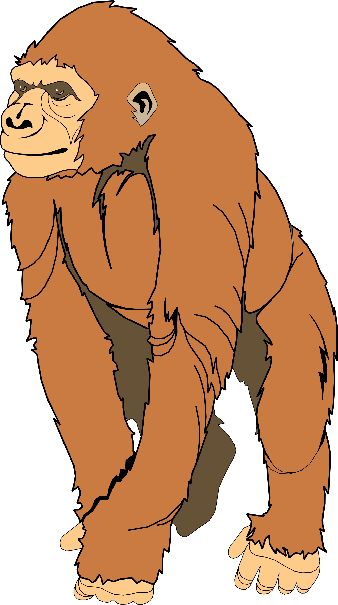 Free Ape Cliparts, Download Free Ape Cliparts png images, Free ClipArts