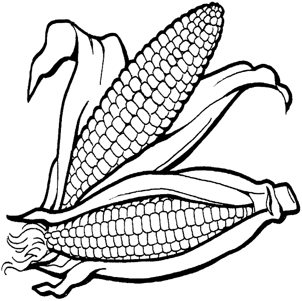 Free Corn Cliparts, Download Free Corn Cliparts png images, Free
