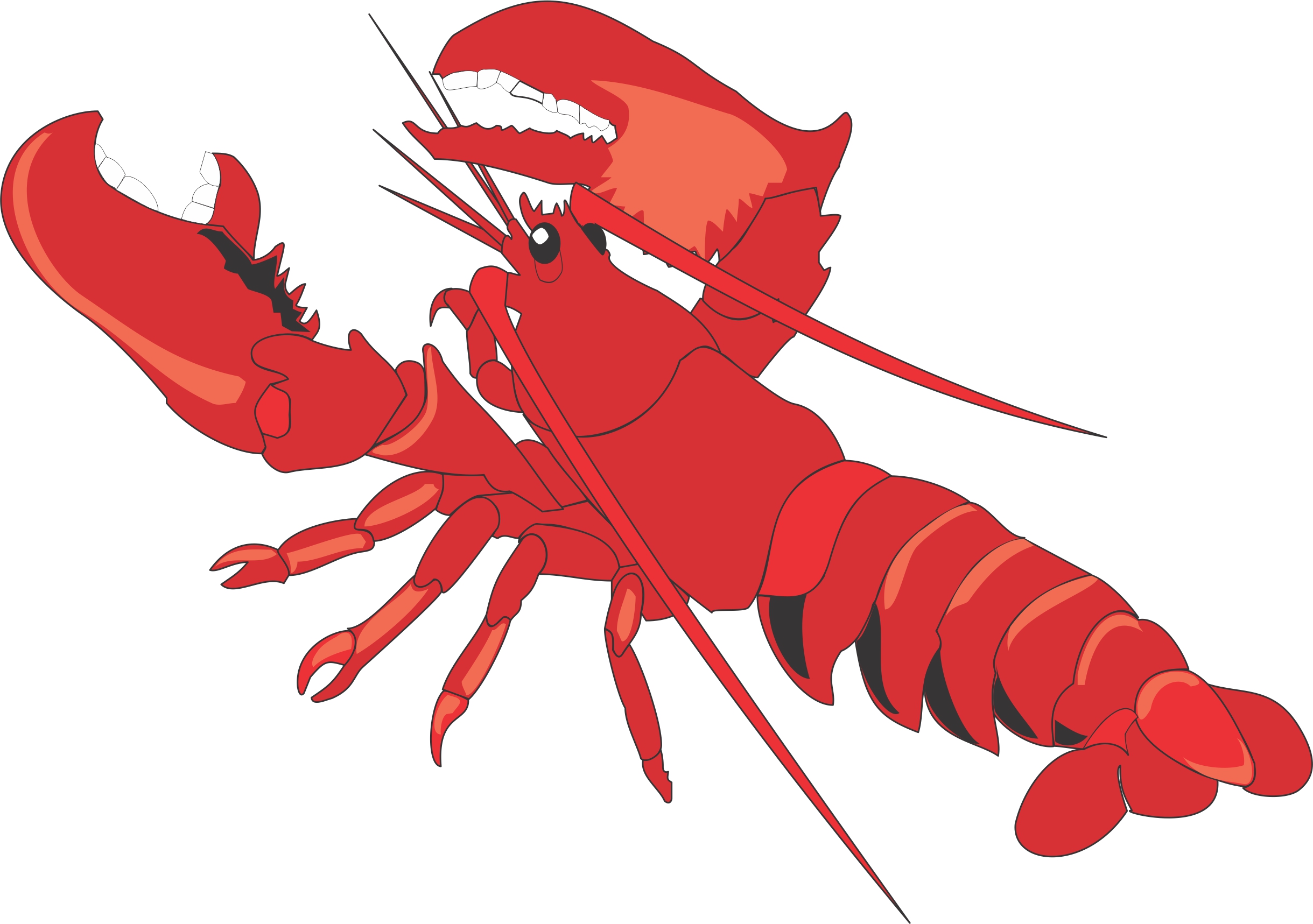 Free Lobster Cliparts, Download Free Lobster Cliparts png images, Free
