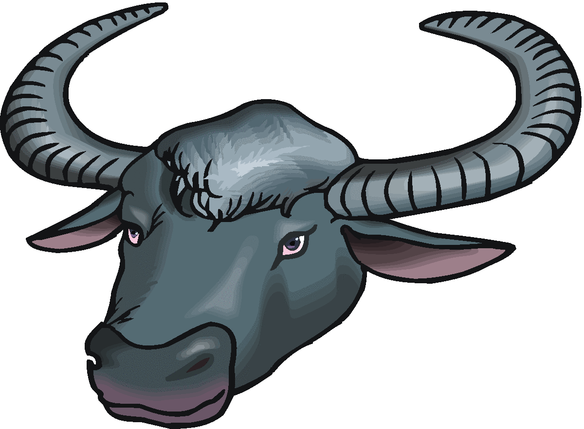 Free Buffalo Cliparts, Download Free Buffalo Cliparts png images, Free