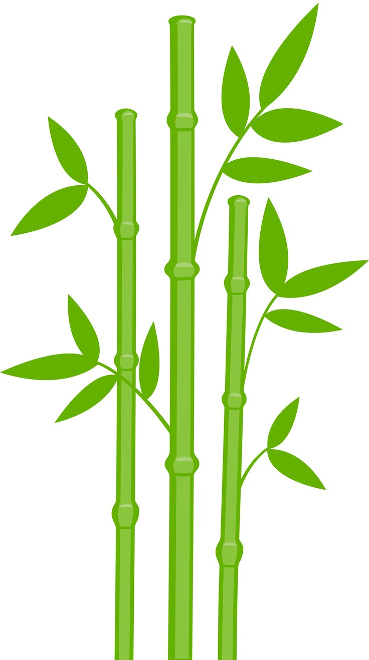 Free Bamboo Vector Png, Download Free Bamboo Vector Png png images