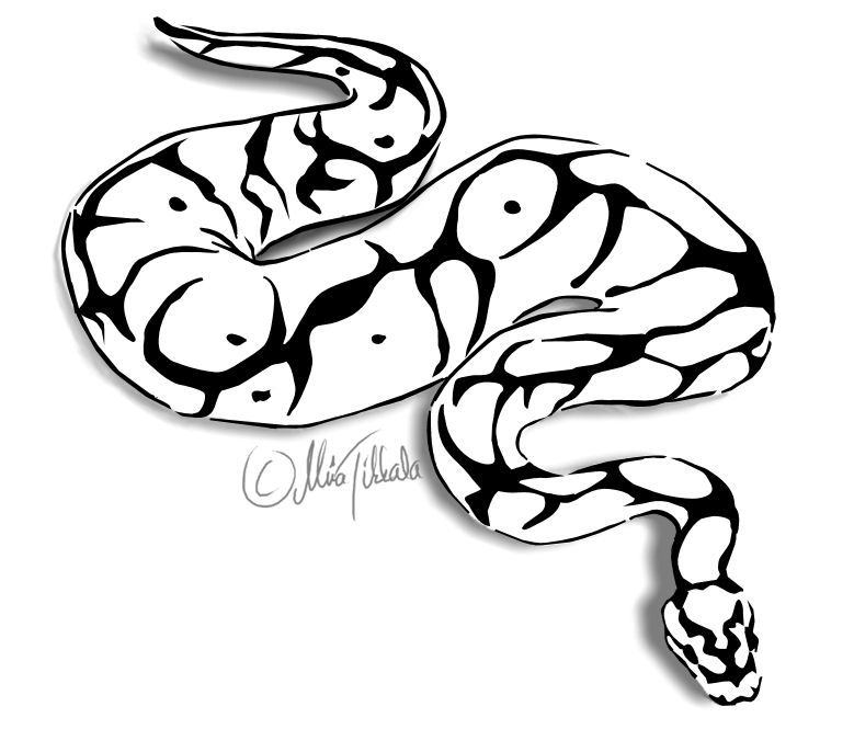 Free Python Cliparts, Download Free Python Cliparts png images, Free