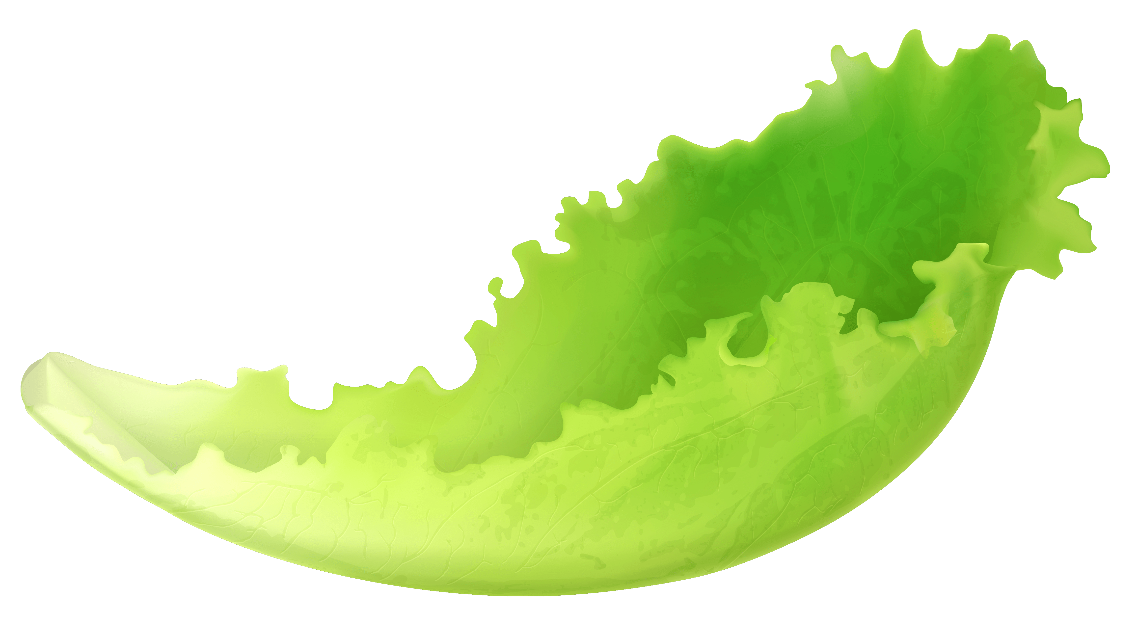 lettuce png Clip Art Library