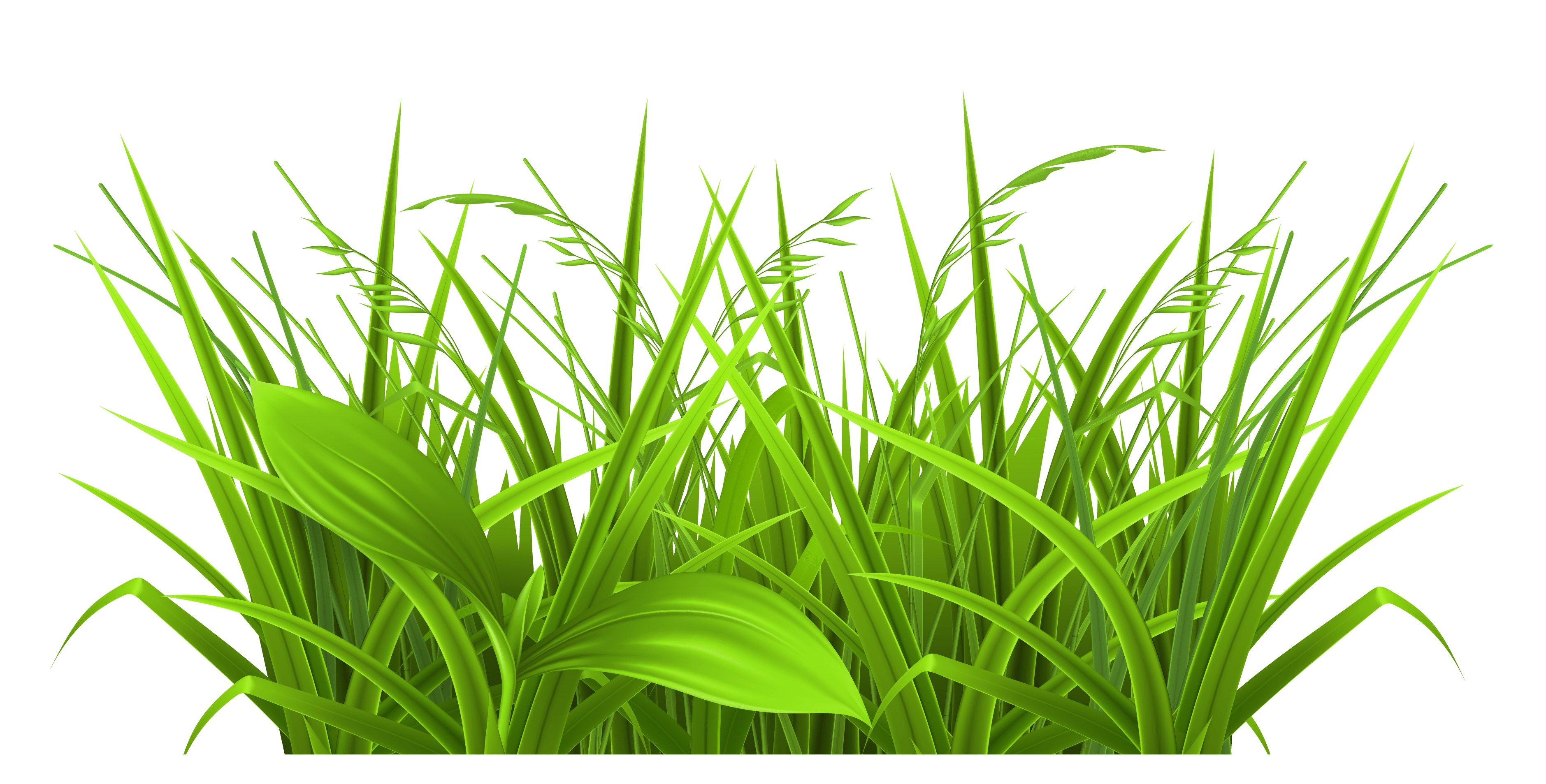 Free Grass Cliparts, Download Free Grass Cliparts png images, Free