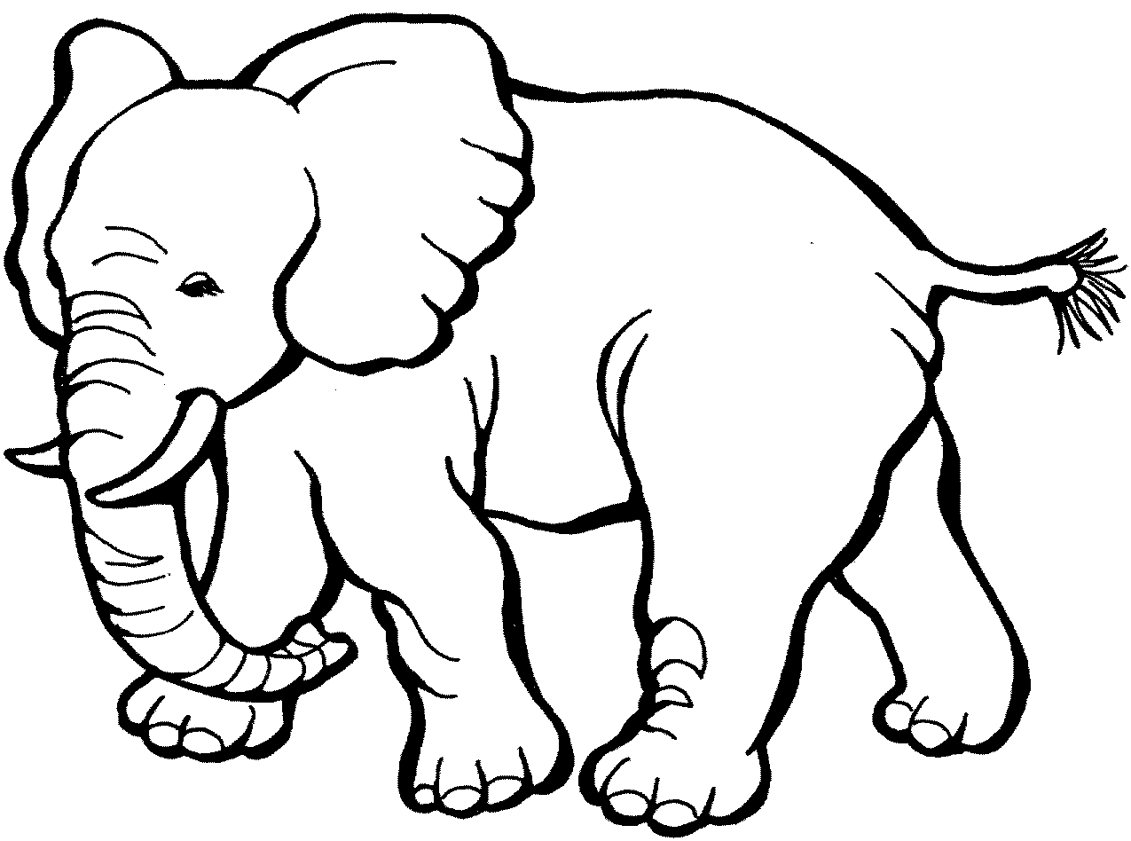 Free Elephant Cliparts, Download Free Elephant Cliparts png images