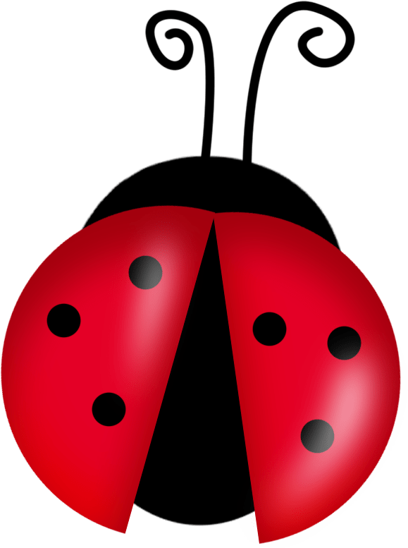 Free Ladybug Cliparts, Download Free Ladybug Cliparts png images, Free