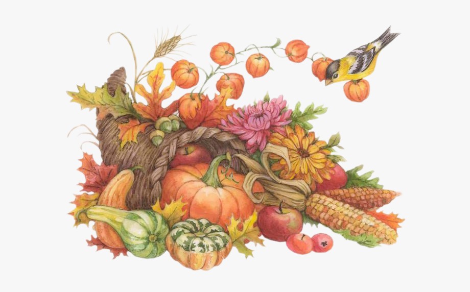 cornucopia clip art Clip Art Library