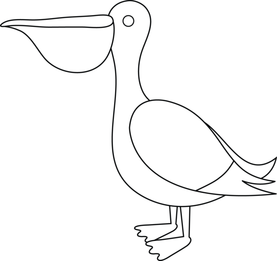 Free Pelican Cliparts, Download Free Pelican Cliparts png images, Free