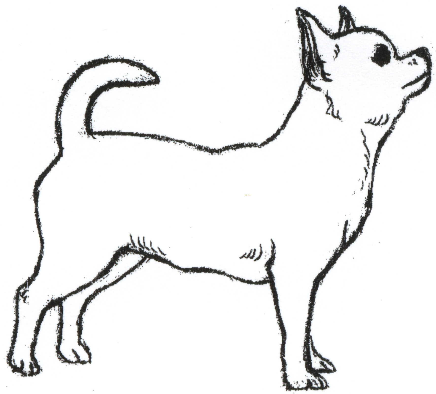 Free Chihuahua Cliparts, Download Free Chihuahua Cliparts png images