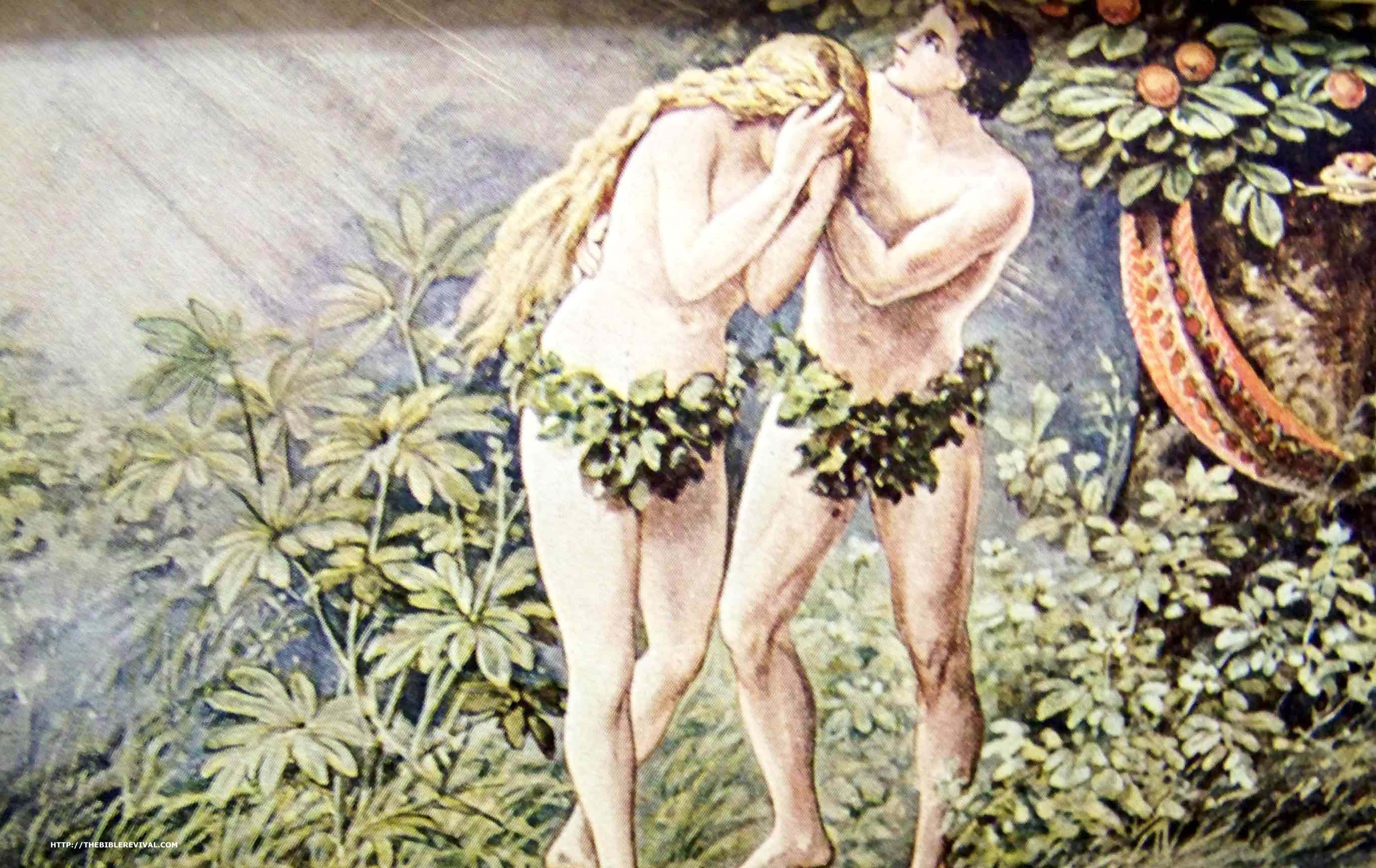 Free Genesis Cliparts, Download Free Genesis Cliparts png images, Free