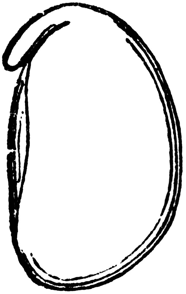 Free Seed Cliparts, Download Free Seed Cliparts png images, Free