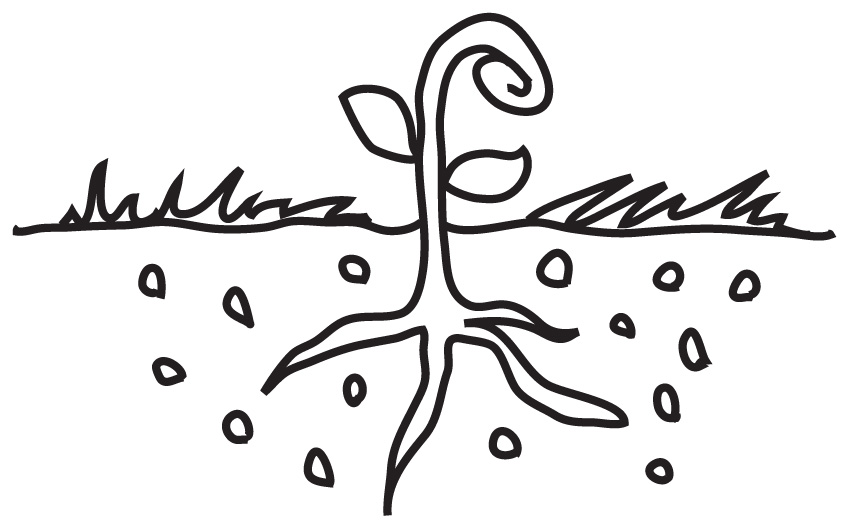 Free Seed Cliparts, Download Free Seed Cliparts png images, Free