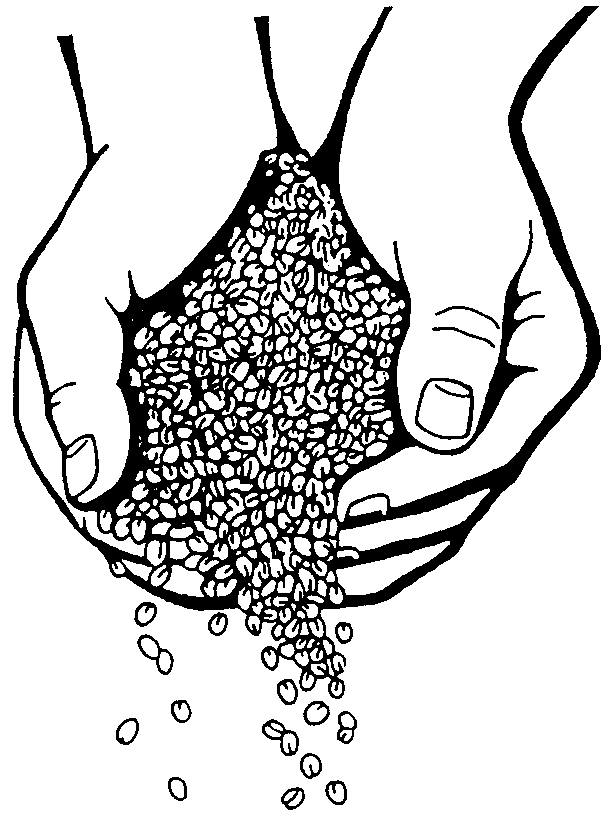 mustard seed clip art Clip Art Library