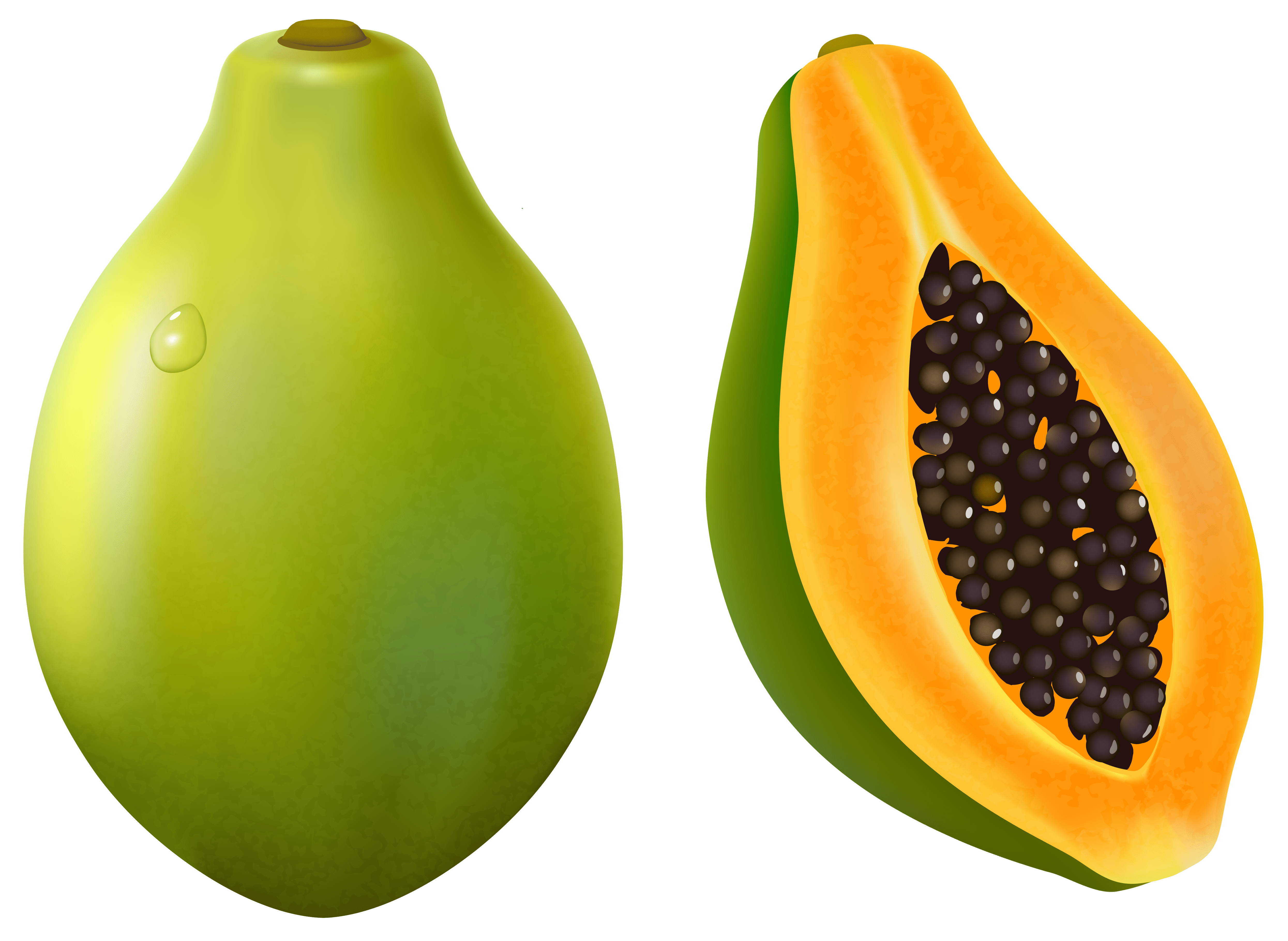 Free Papaya Cliparts, Download Free Papaya Cliparts png images, Free