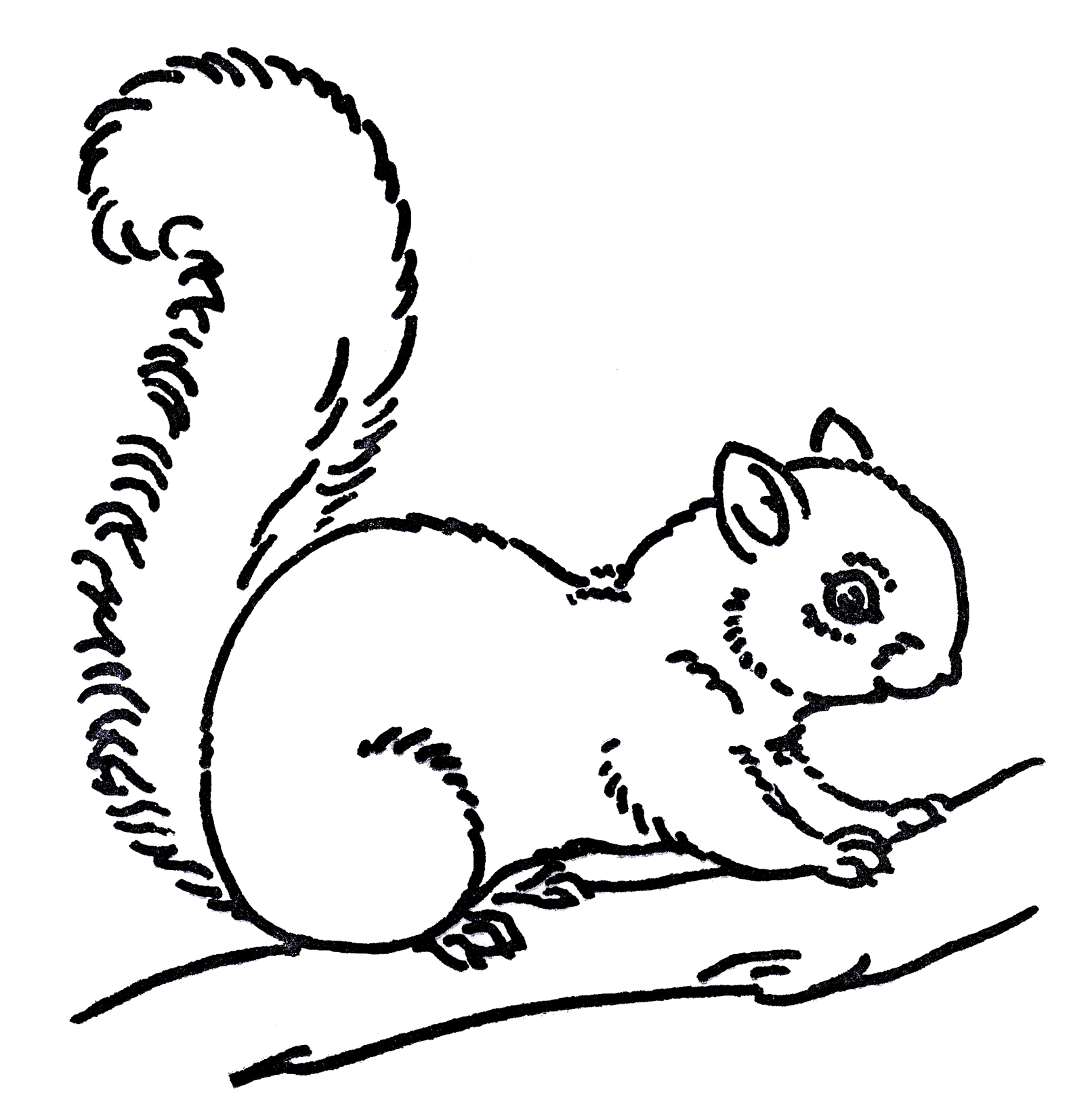 Free Squirrel Cliparts, Download Free Squirrel Cliparts png images