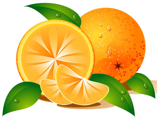 Free Orange Cliparts Download Free Clip Art Free Clip Art On